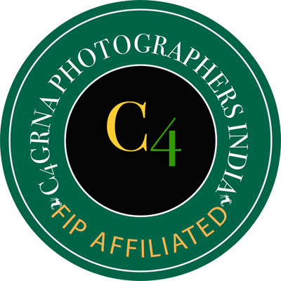 Third Logo